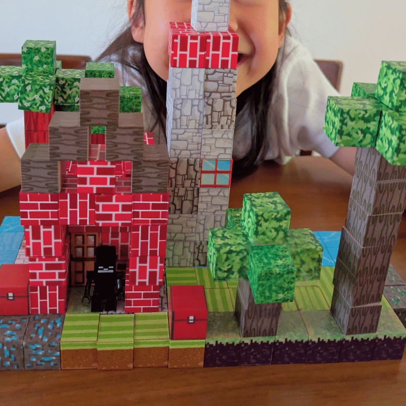 מיינקראפט - משחק מגנטים איכותי - מודינו