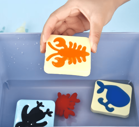 תוספת תבניות - ערכת ג'ל - מודינו