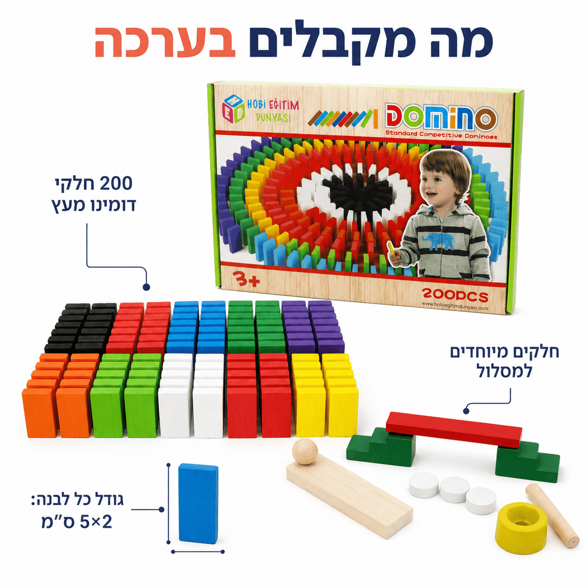 דומינו ראלי מעץ 200 חלקים – משחק בנייה והפלה בשרשרת - מודינו