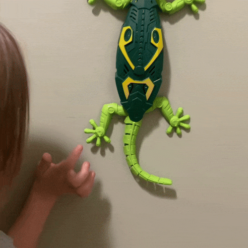 לטאה מטפסת על קירות על שלט