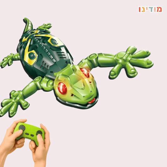 לטאה מטפסת על קירות על שלט - מודינו