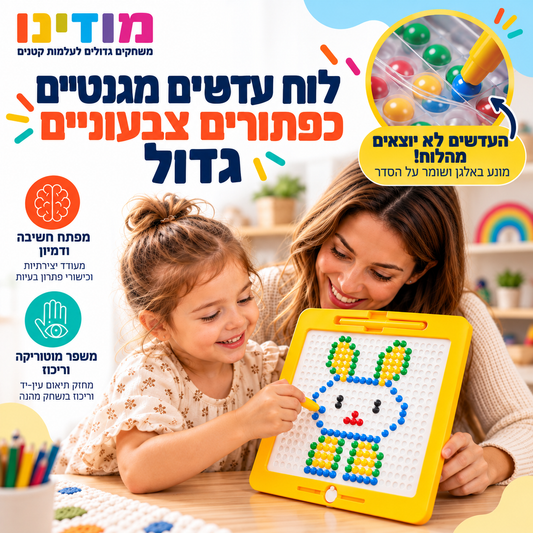 לוח עדשים מגנטיים כפתורים צבעוניים גדול - מודינו
