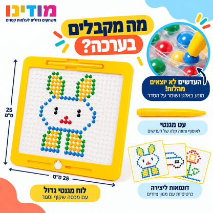 לוח עדשים מגנטיים כפתורים צבעוניים גדול - מודינו