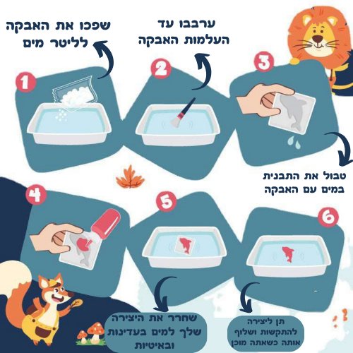 ערכת ג'ל הקסם - מודינו